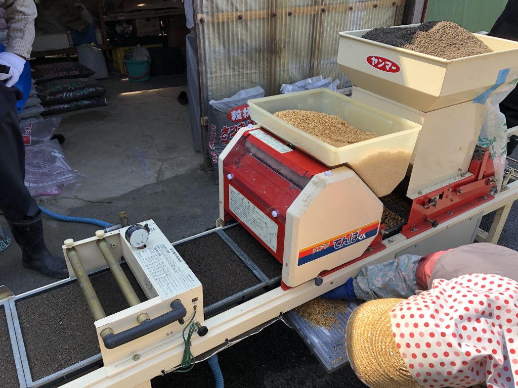 （稲作）種まき01