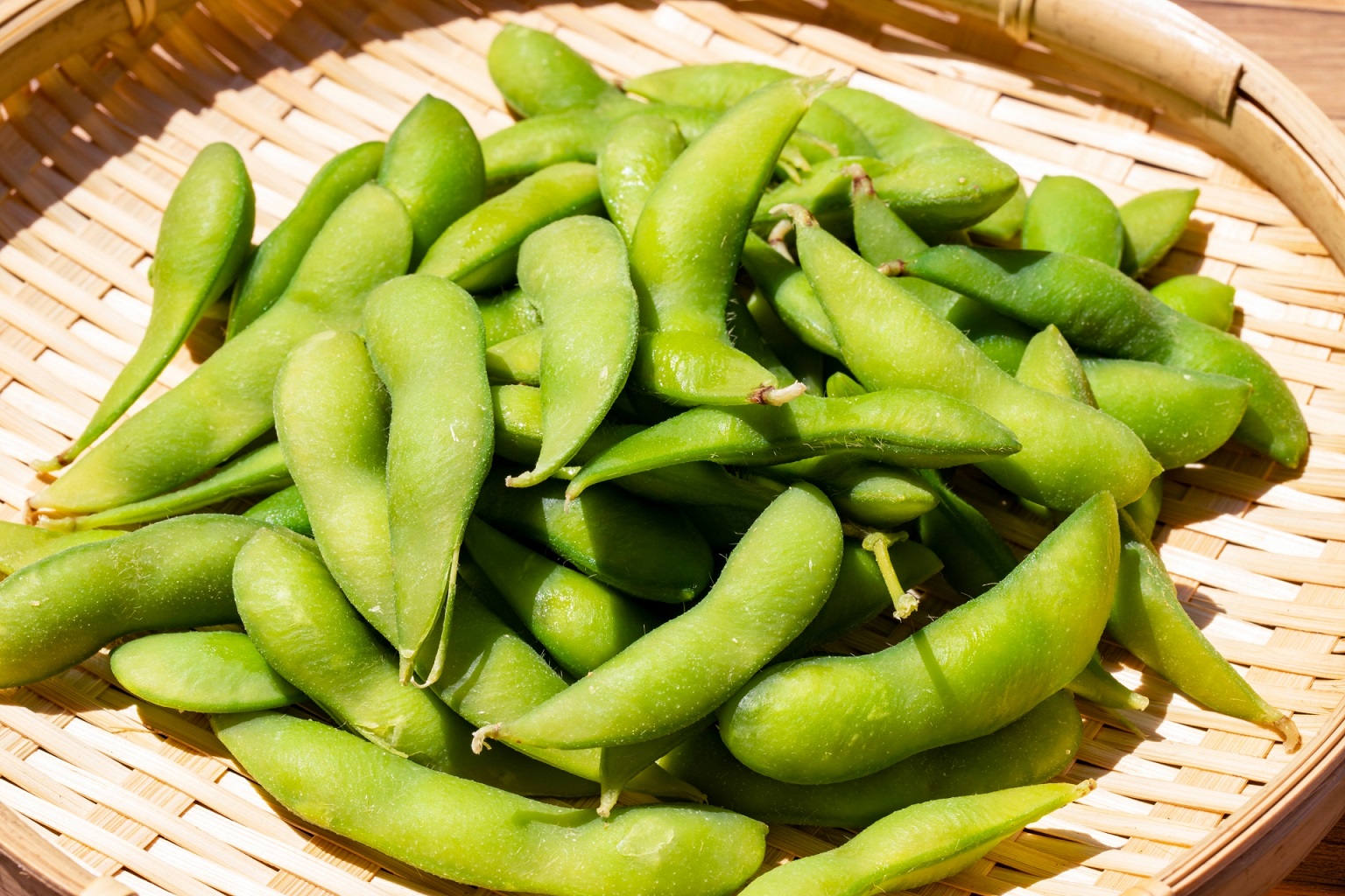 【百津屋の畑】エダマメの移植のやり方