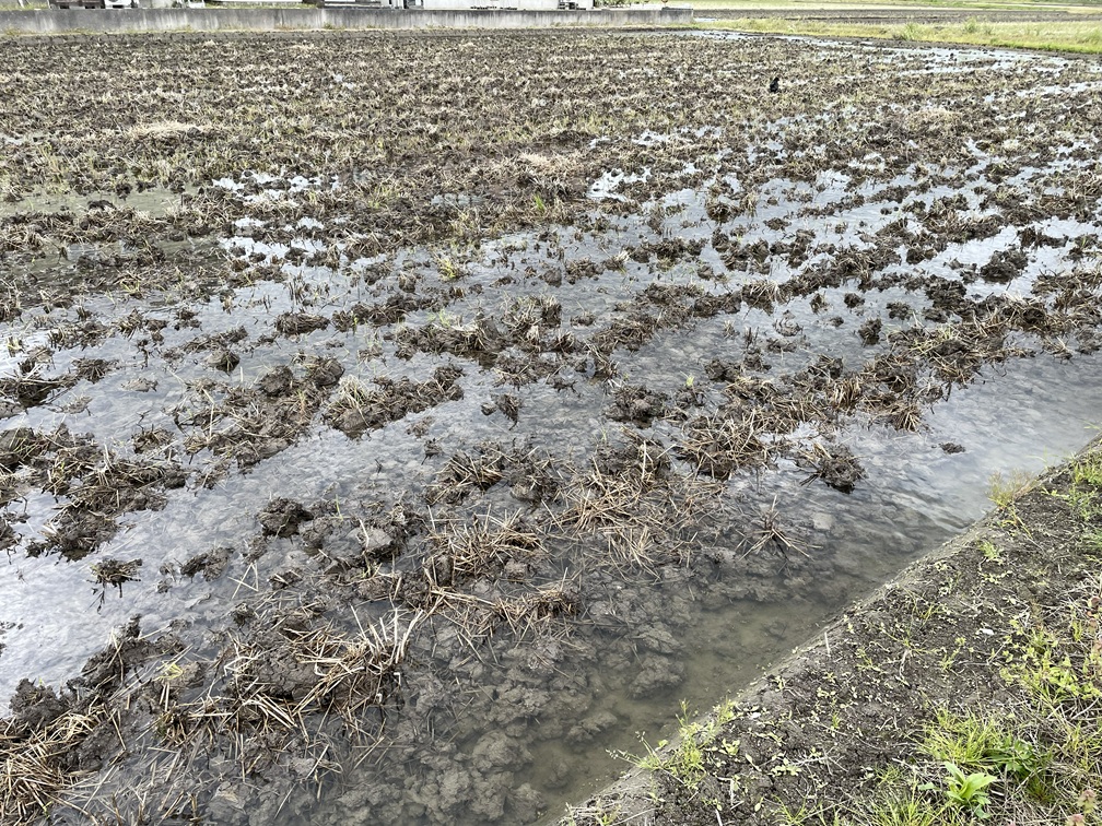 ぐちゃぐちゃ田打ち①